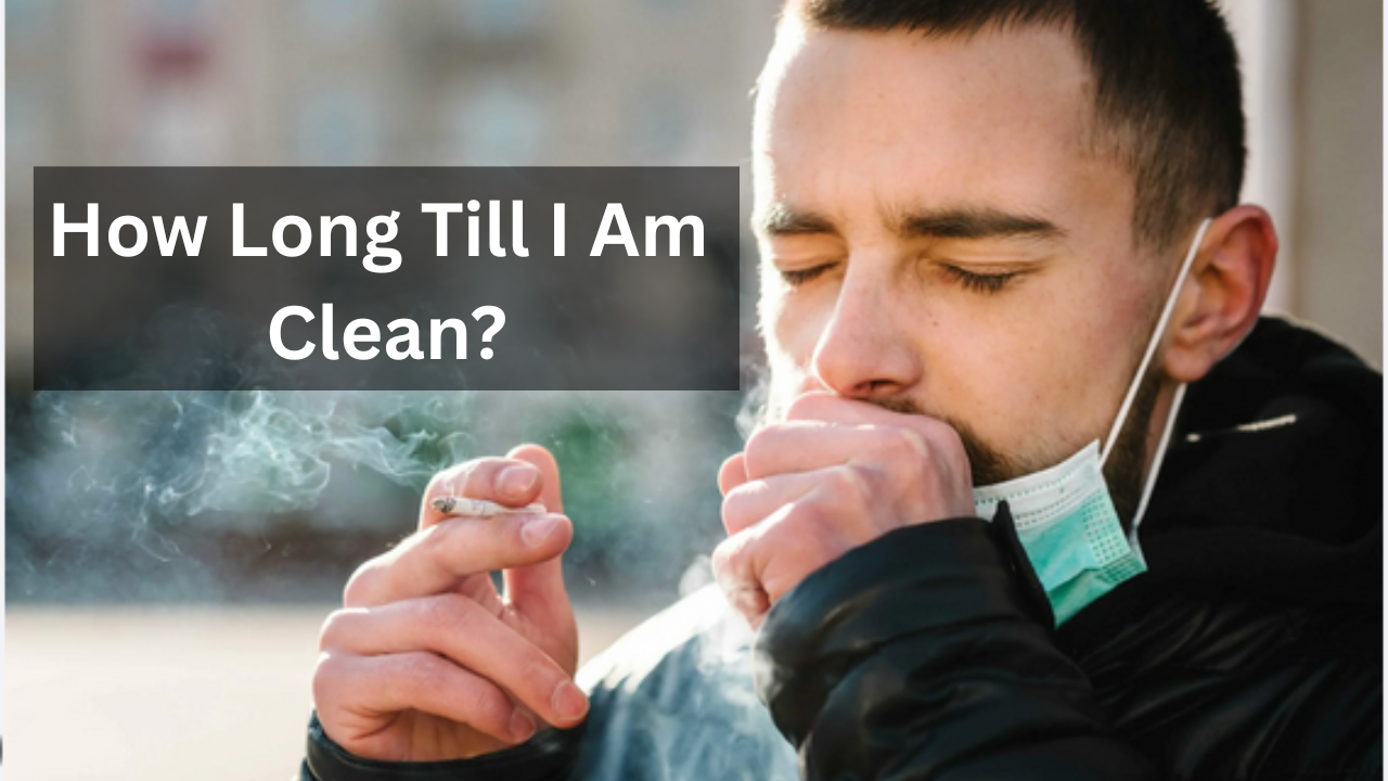 clean from THC